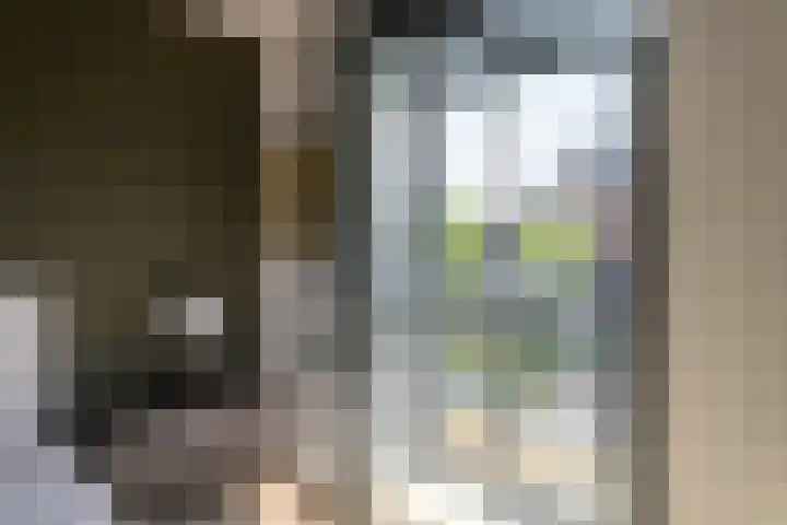 Rietpolderlaan 36 Muiden thumbnail 22