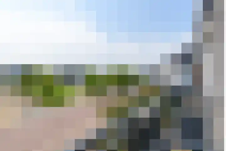 Rietpolderlaan 36 Muiden thumbnail 24