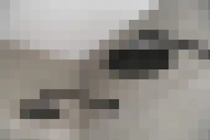 Rietpolderlaan 36 Muiden thumbnail 28