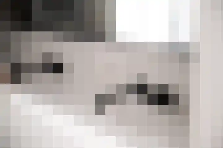 Rietpolderlaan 36 Muiden thumbnail 29