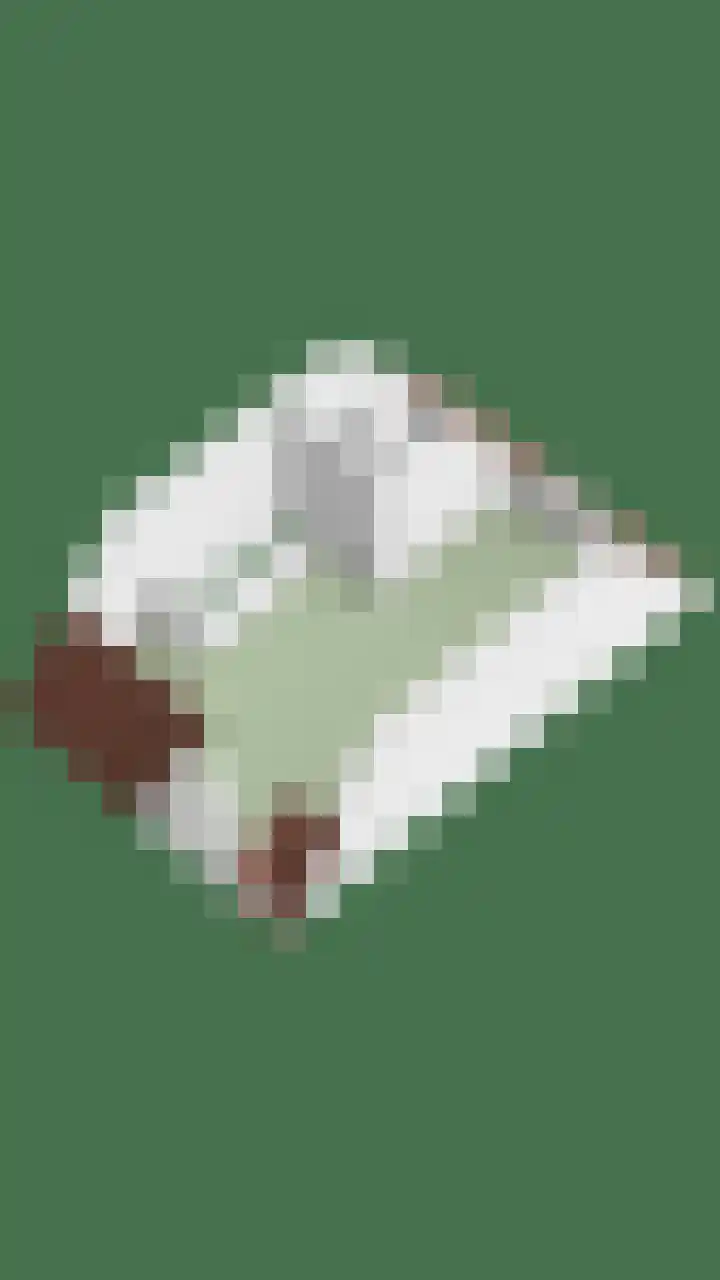 Rietpolderlaan 36 Muiden thumbnail 39