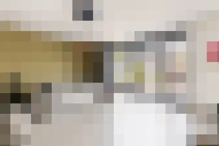 Rietpolderlaan 36 Muiden thumbnail 4