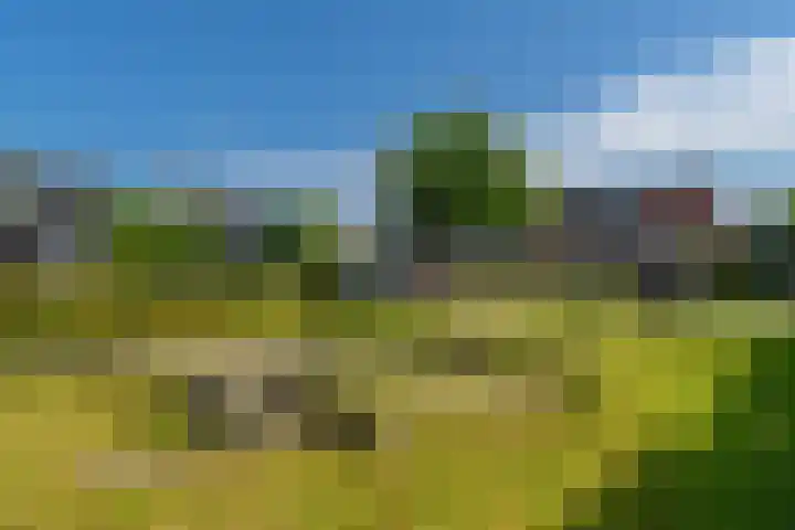 Rietpolderlaan 36 Muiden thumbnail 46