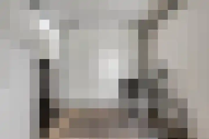 Rietputten 6 Eindhoven thumbnail 14