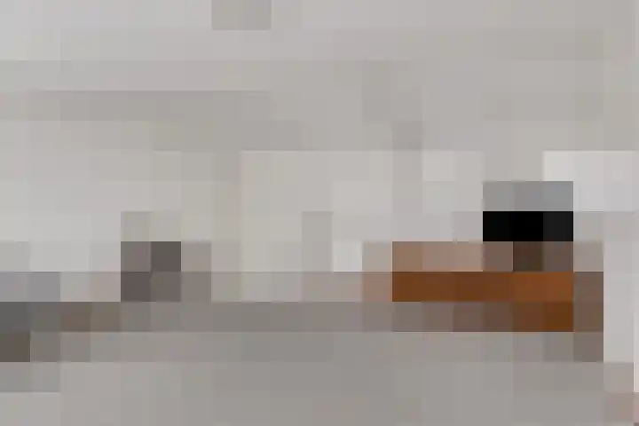 Rietputten 6 Eindhoven thumbnail 18