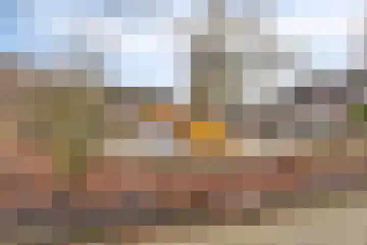 Rietputten 6 Eindhoven thumbnail 22