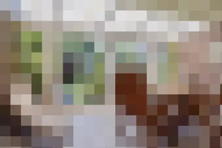 Rietputten 9 Eindhoven thumbnail 18