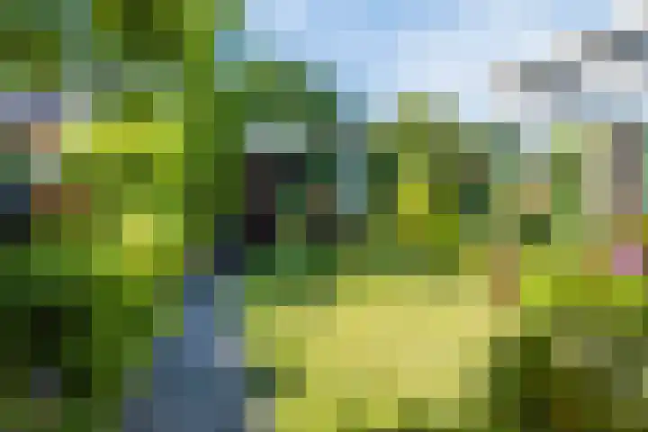 Rietputten 9 Eindhoven thumbnail 32