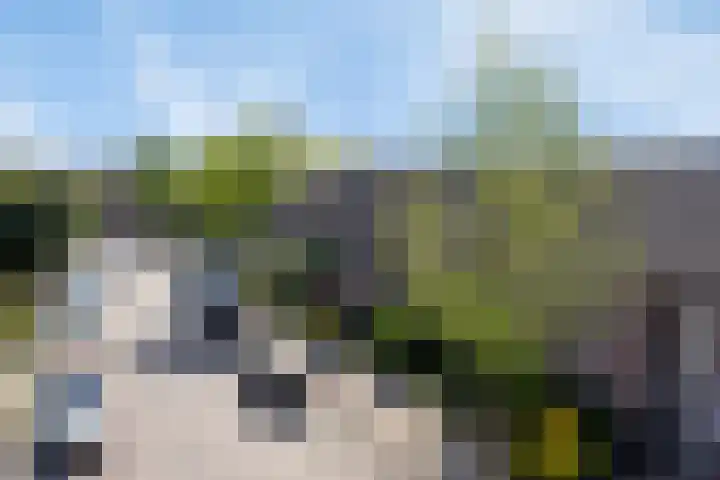 Rietputten 9 Eindhoven thumbnail 38