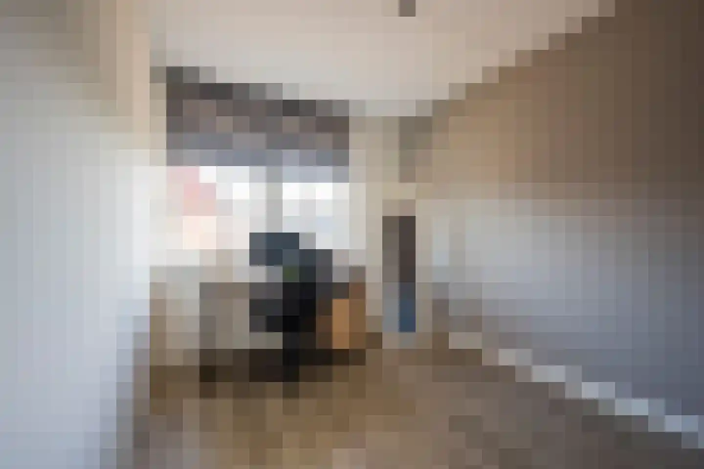 Rietrand 12 Nijkerk thumbnail 18
