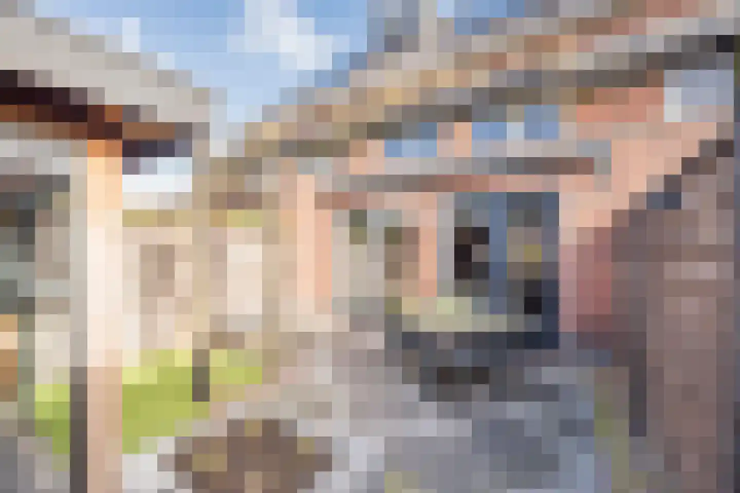 Rietrand 12 Nijkerk thumbnail 30