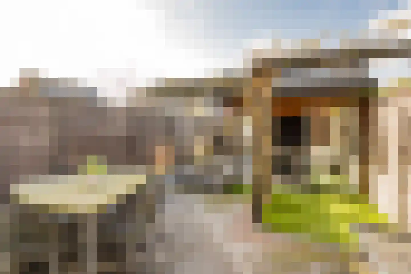 Rietrand 12 Nijkerk thumbnail 31