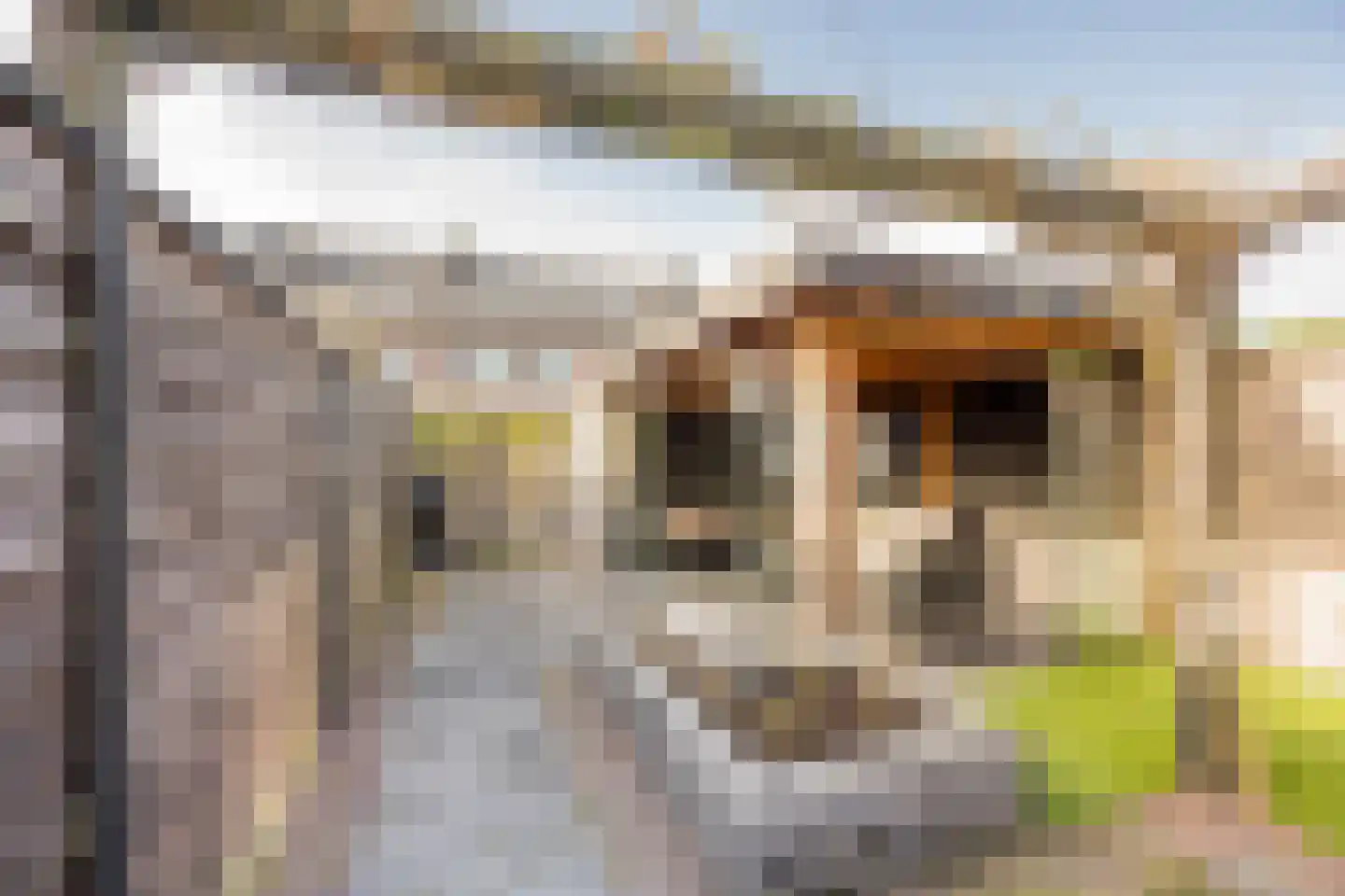 Rietrand 12 Nijkerk thumbnail 32