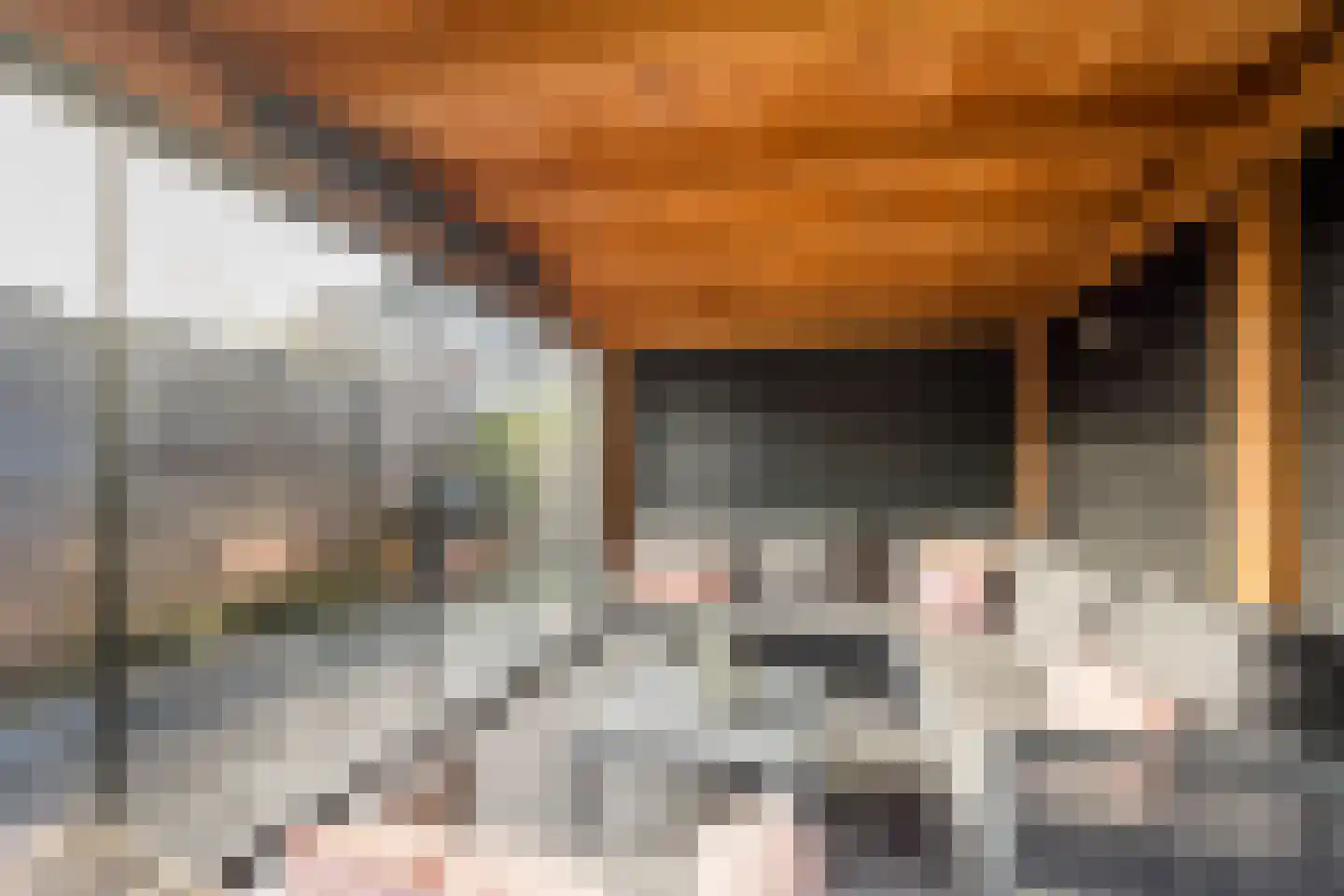 Rietrand 12 Nijkerk thumbnail 33
