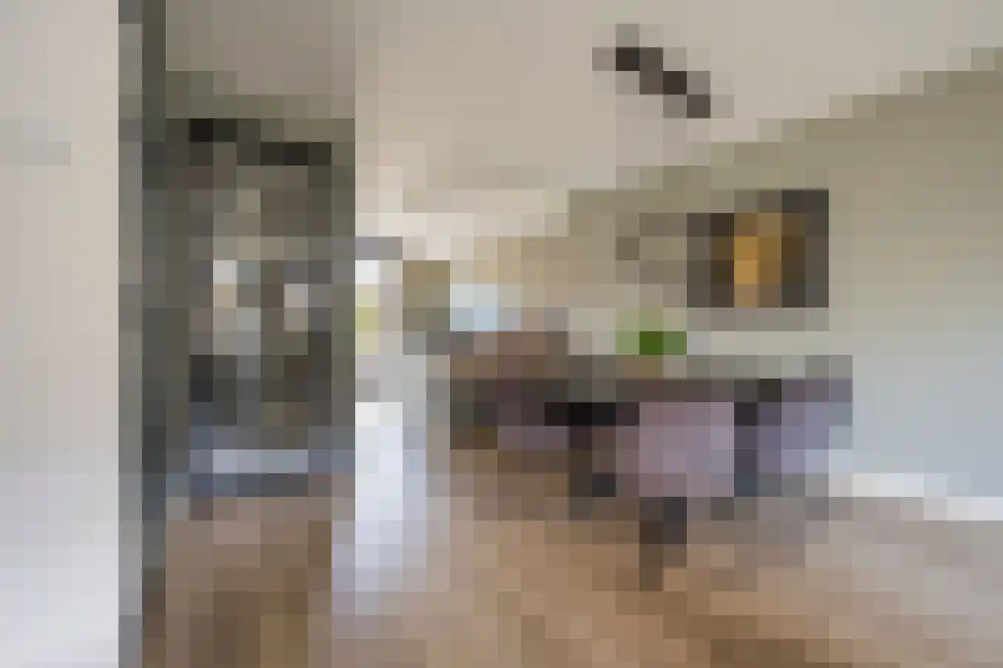 Rietrand 12 Nijkerk thumbnail 7
