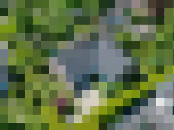 Rietschans 3 Zuidhorn thumbnail 29