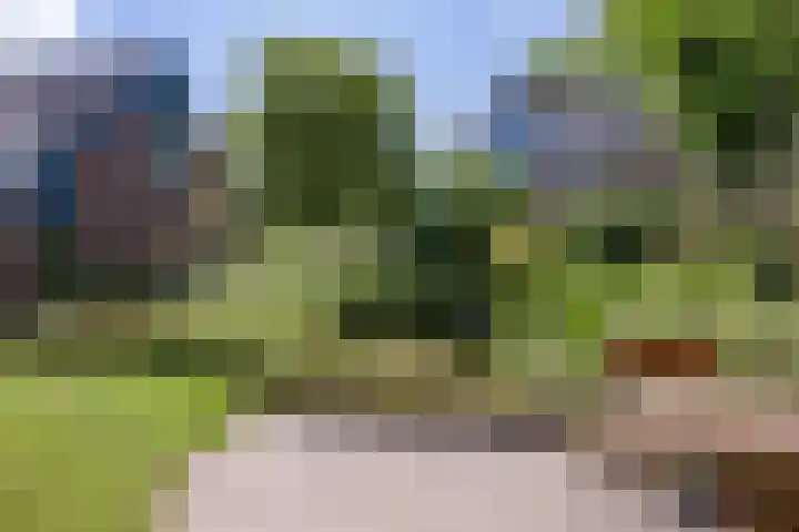 Rietschans 3 Zuidhorn thumbnail 31