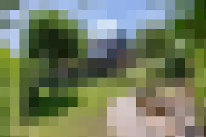 Rietschans 3 Zuidhorn thumbnail 32