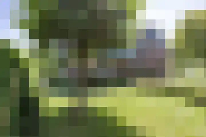 Rietschans 3 Zuidhorn thumbnail 33