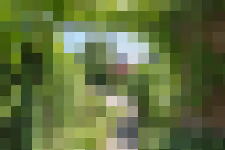 Rietschans 3 Zuidhorn thumbnail 34