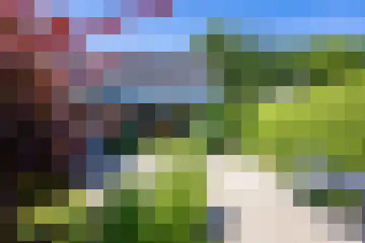 Rietschans 3 Zuidhorn thumbnail 36