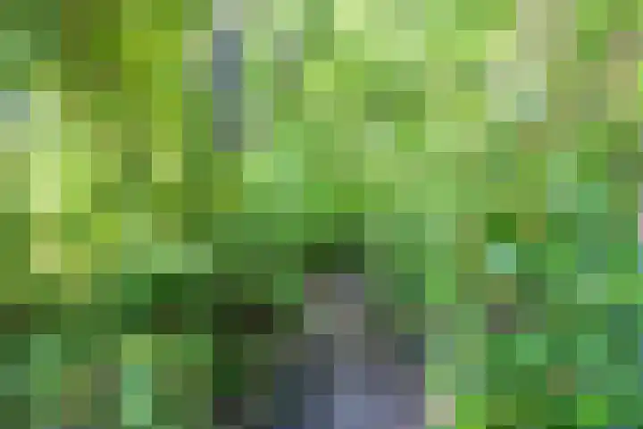 Rietschans 3 Zuidhorn thumbnail 37