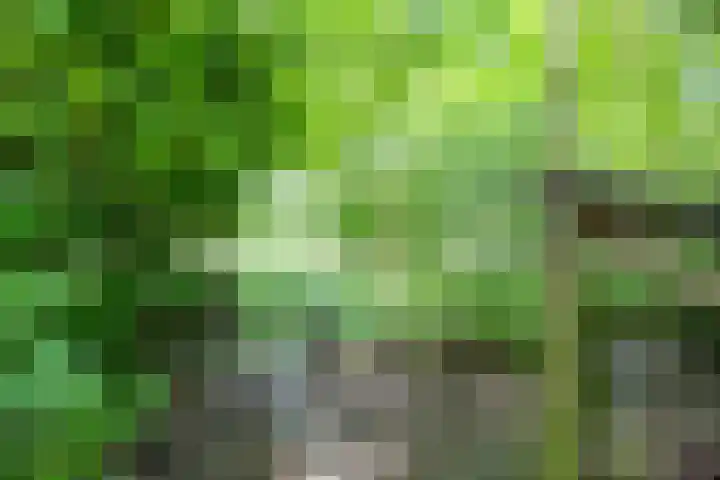 Rietschans 3 Zuidhorn thumbnail 38