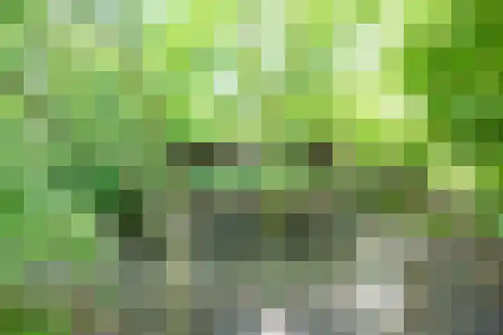 Rietschans 3 Zuidhorn thumbnail 39