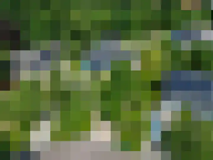 Rietschans 3 Zuidhorn thumbnail 4