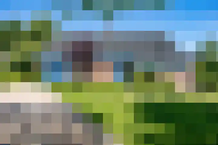 Rietschans 3 Zuidhorn thumbnail 5