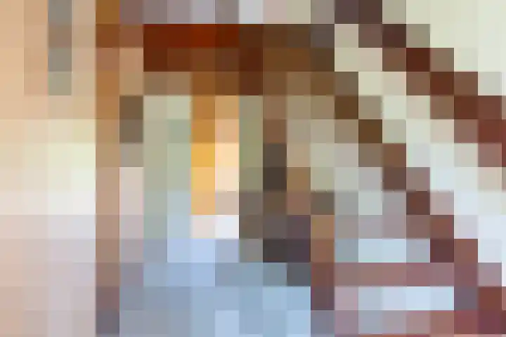 Rietschans 3 Zuidhorn thumbnail 6