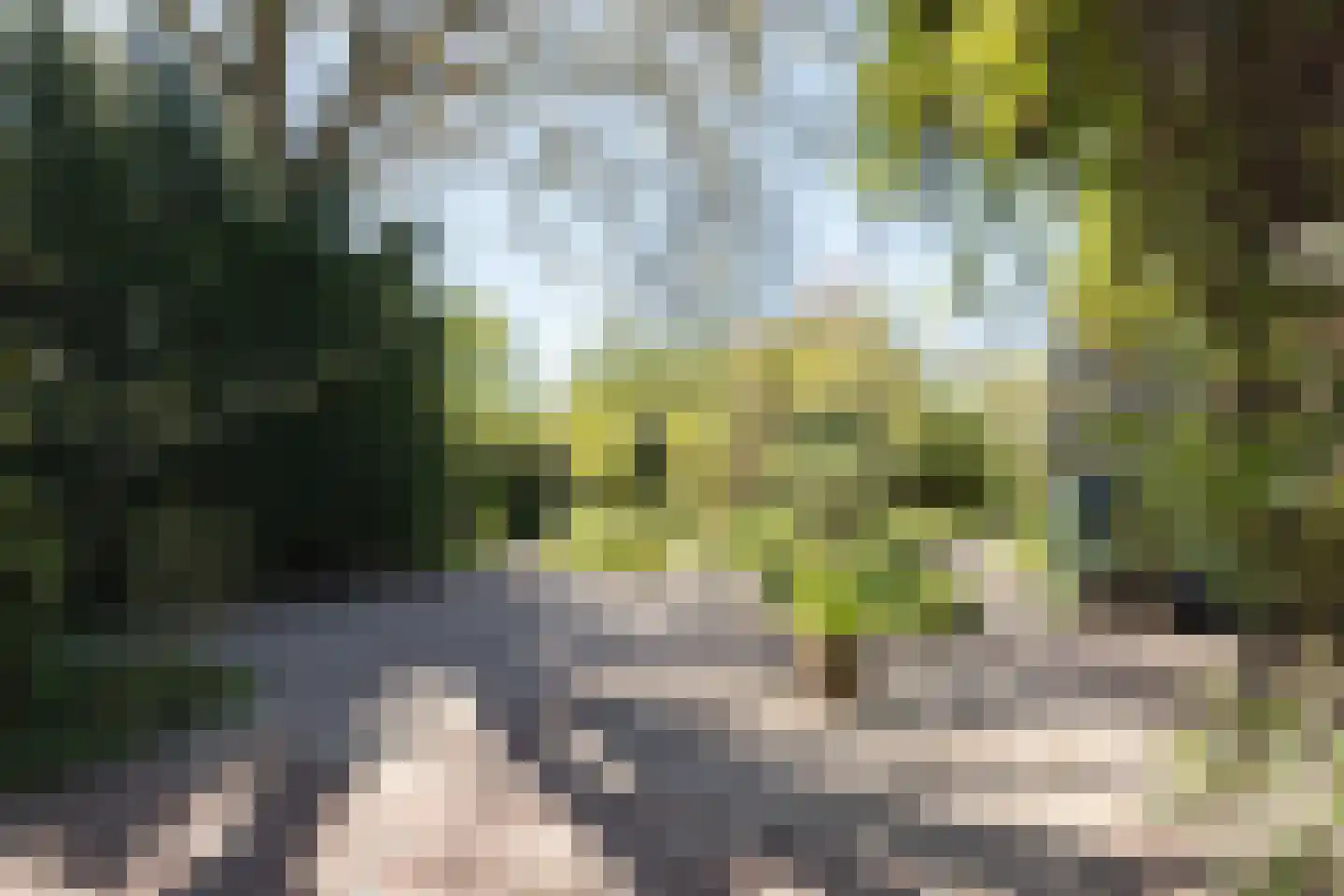 Rietschans 8 Zuidhorn thumbnail 18