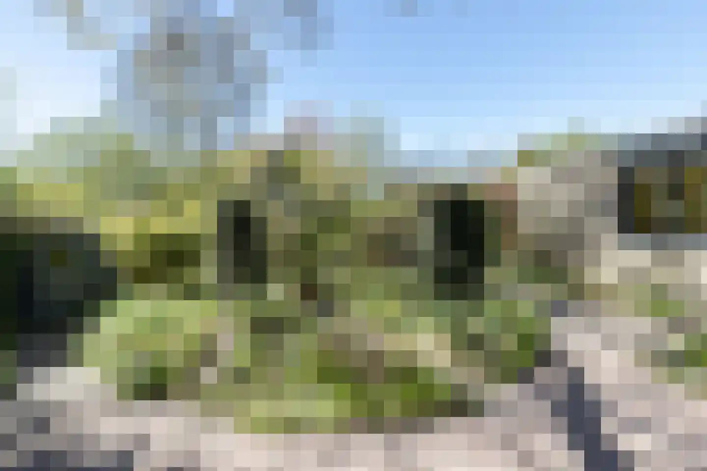 Rietschans 8 Zuidhorn thumbnail 21