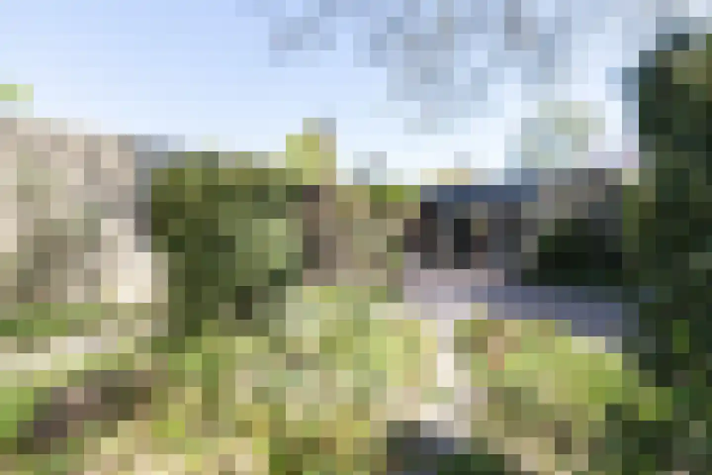 Rietschans 8 Zuidhorn thumbnail 22