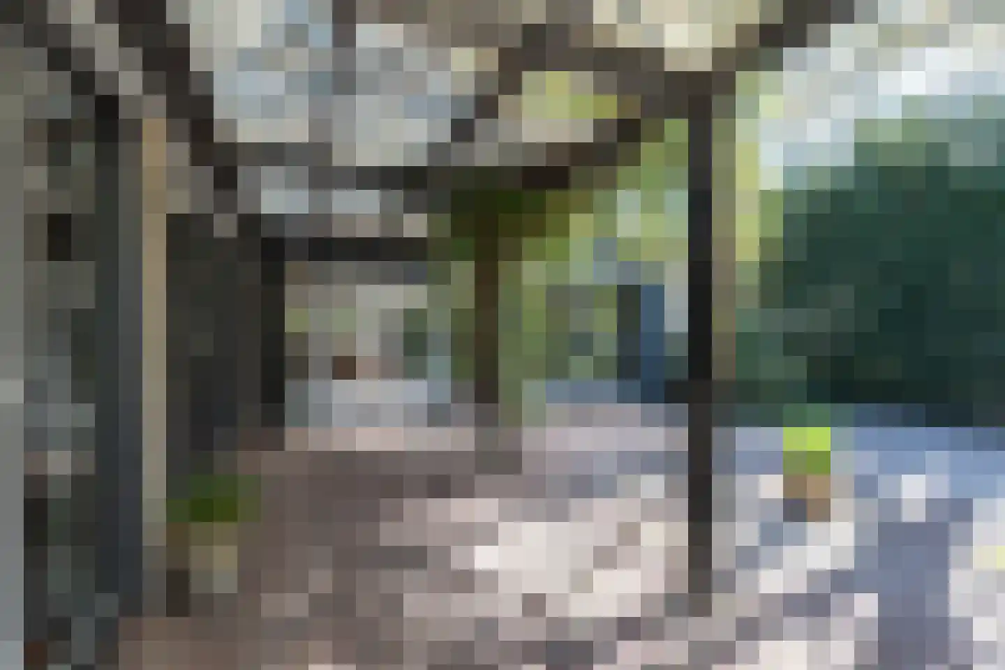 Rietschans 8 Zuidhorn thumbnail 30