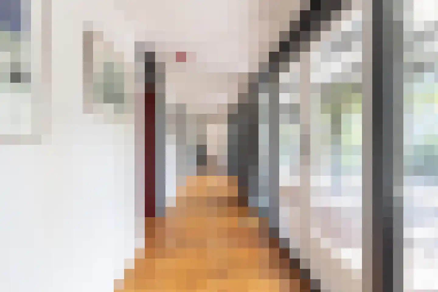 Rietschans 8 Zuidhorn thumbnail 37