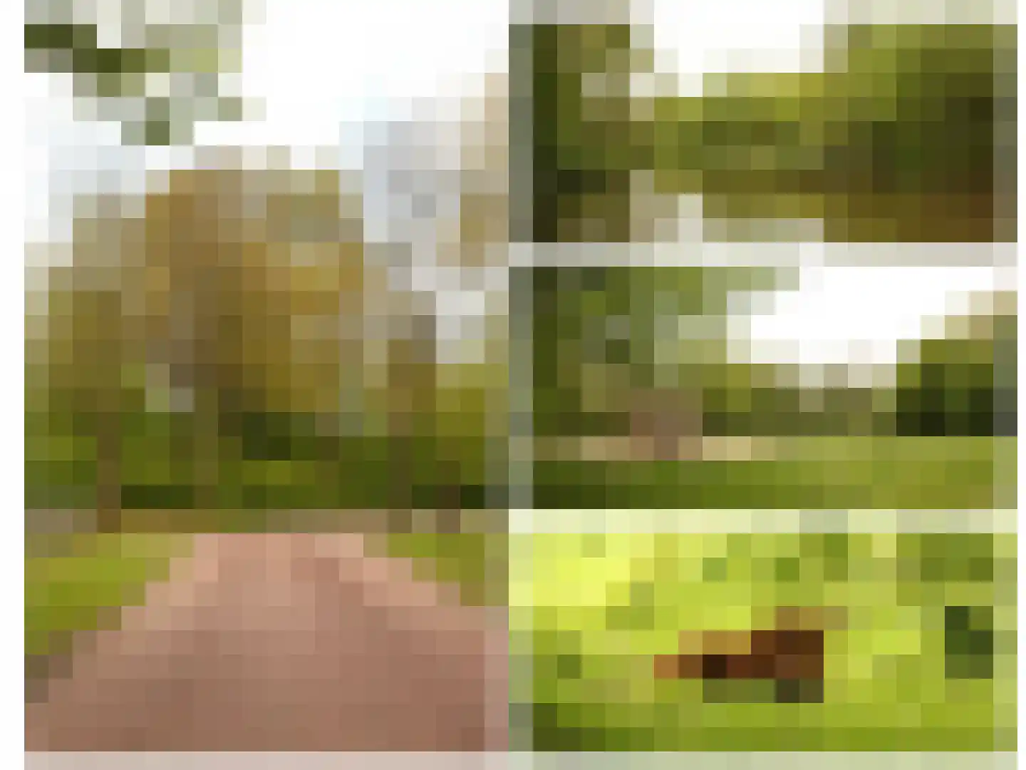Rietschans 8 Zuidhorn thumbnail 4