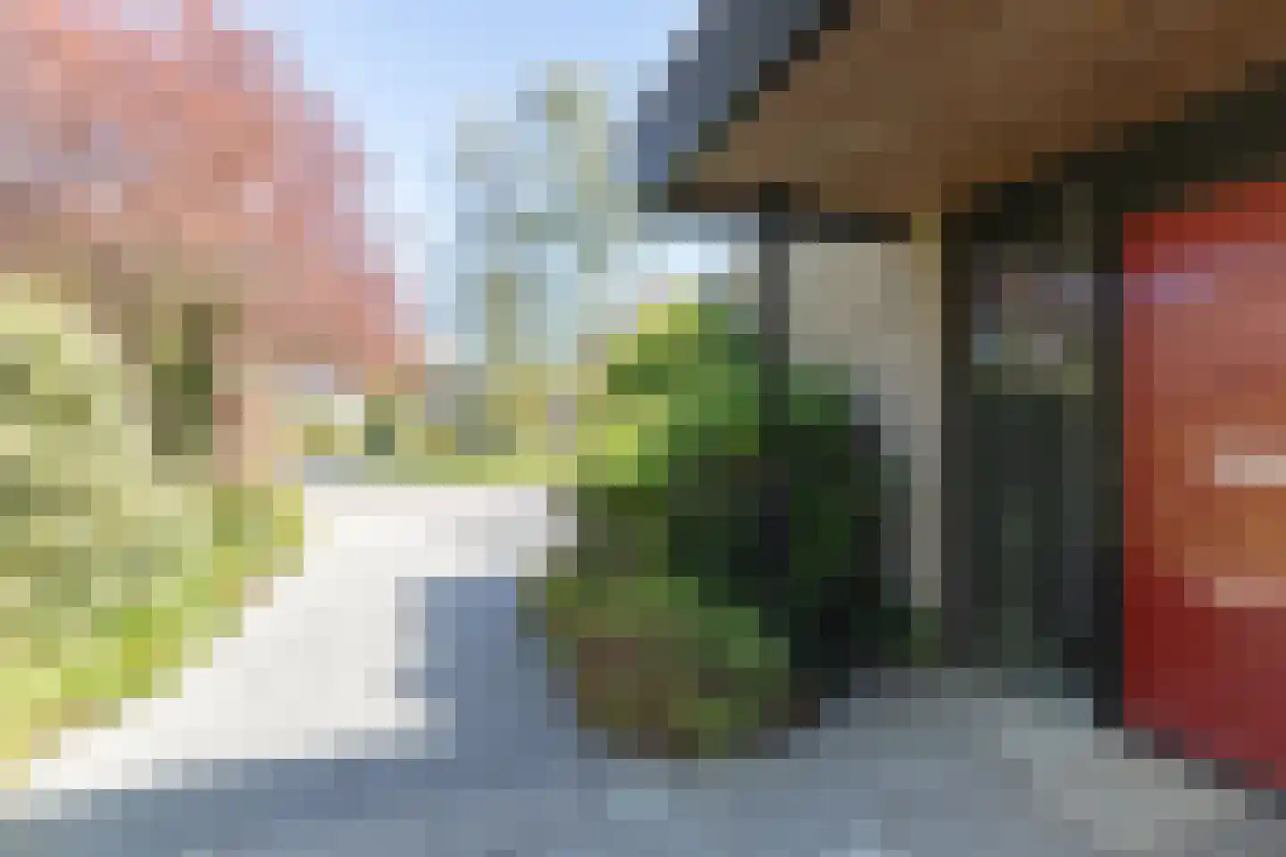 Rietschans 8 Zuidhorn thumbnail 40
