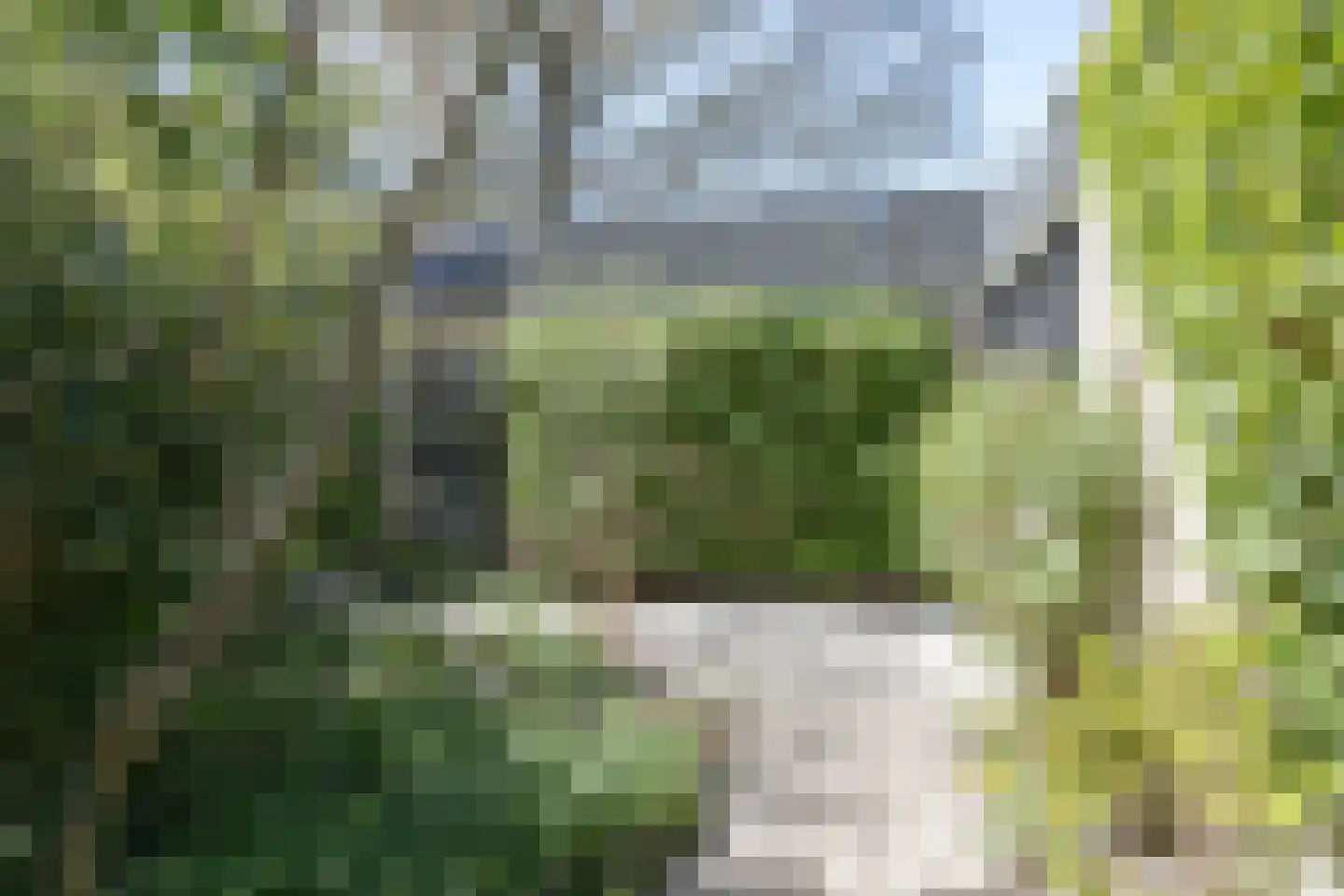 Rietschans 8 Zuidhorn thumbnail 41