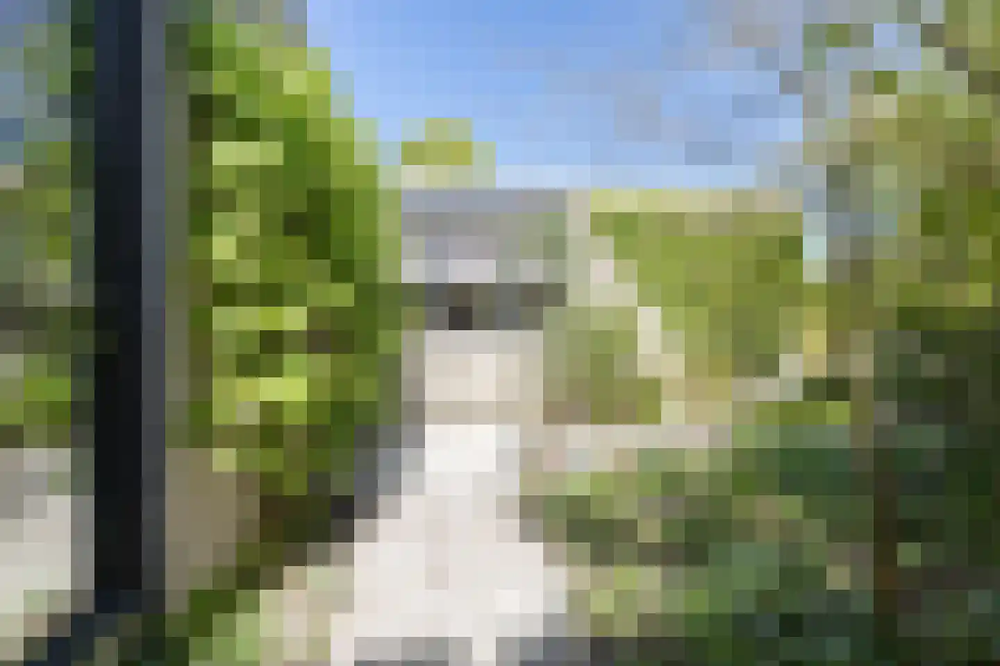 Rietschans 8 Zuidhorn thumbnail 42