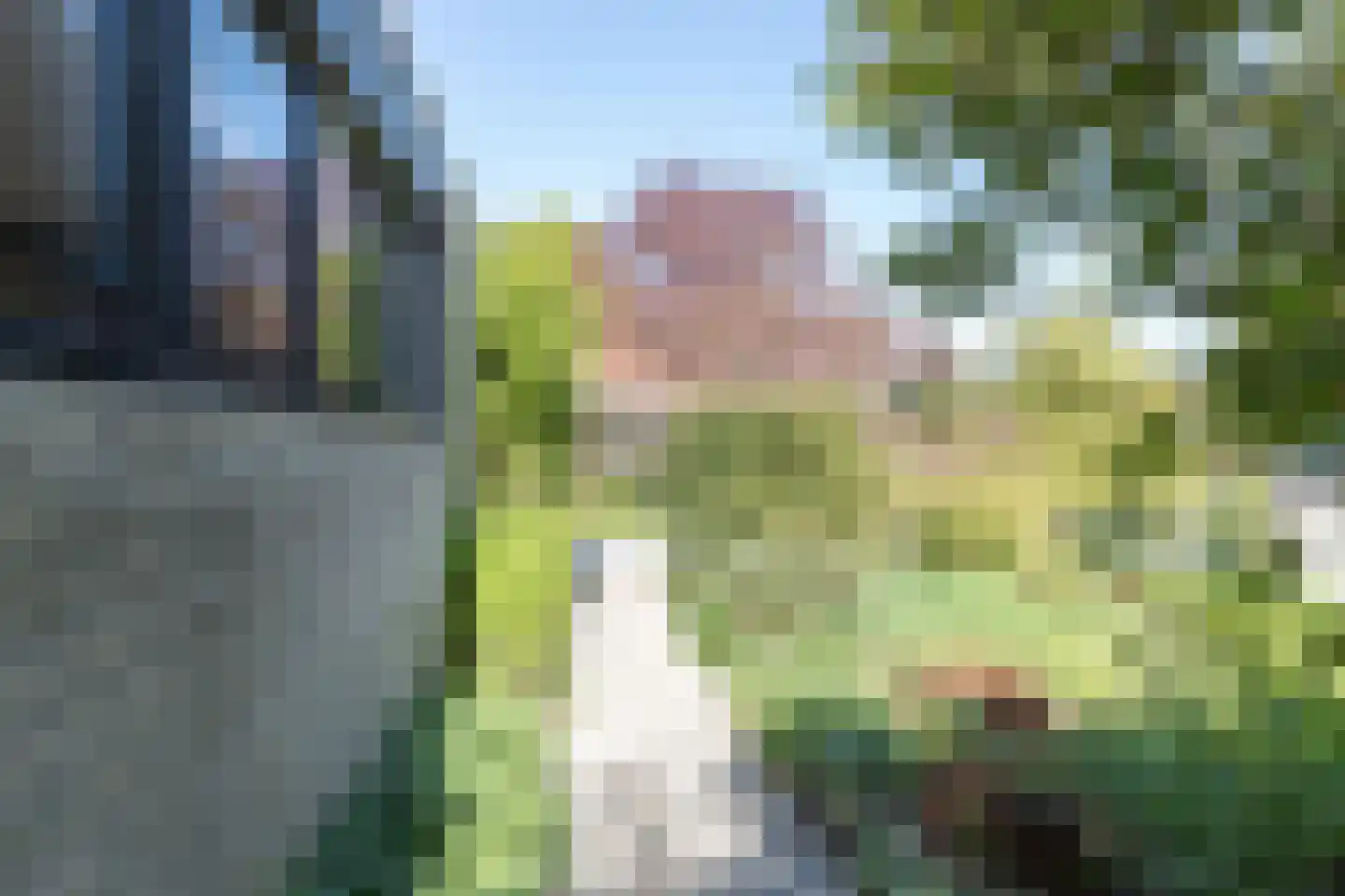 Rietschans 8 Zuidhorn thumbnail 43