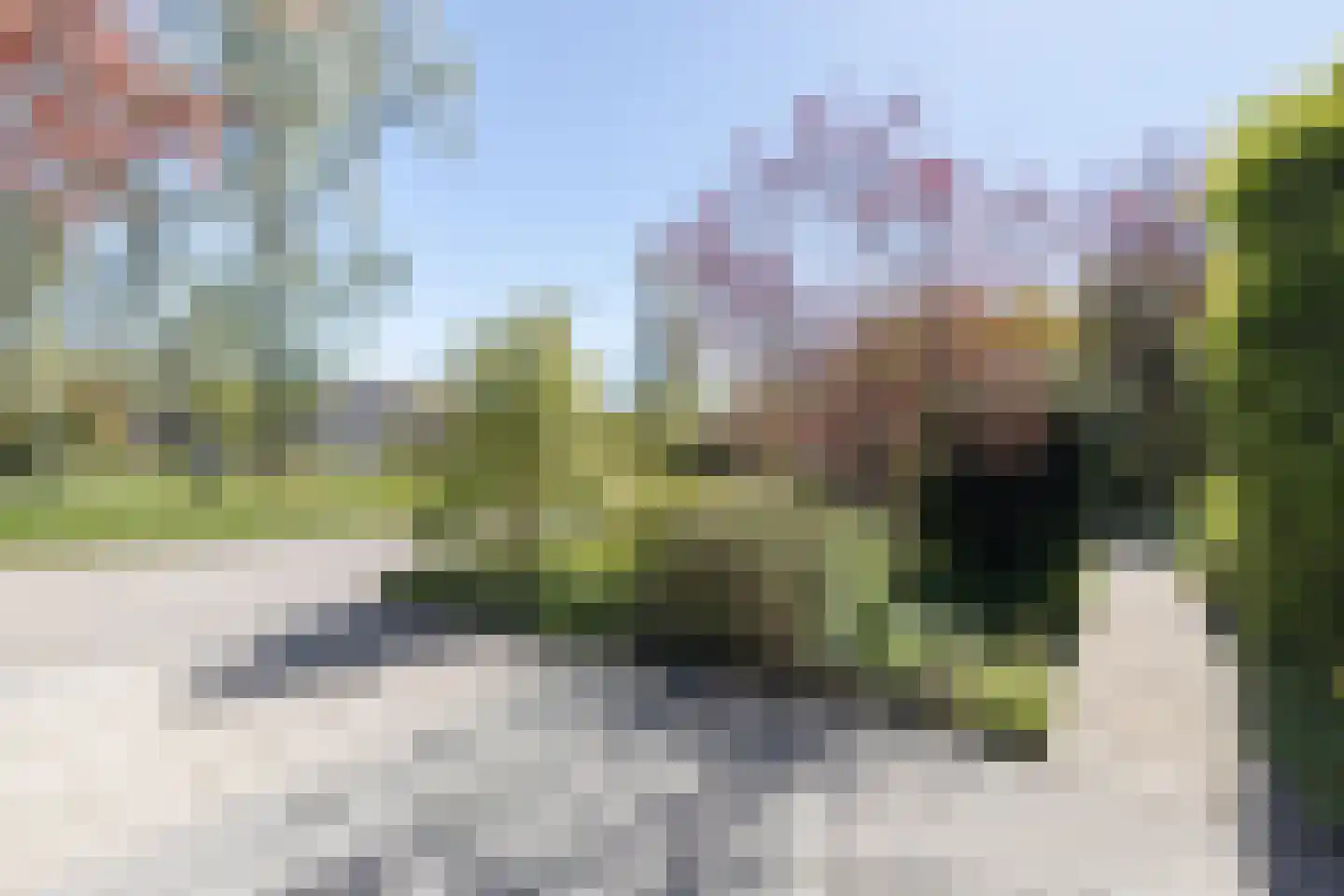 Rietschans 8 Zuidhorn thumbnail 45