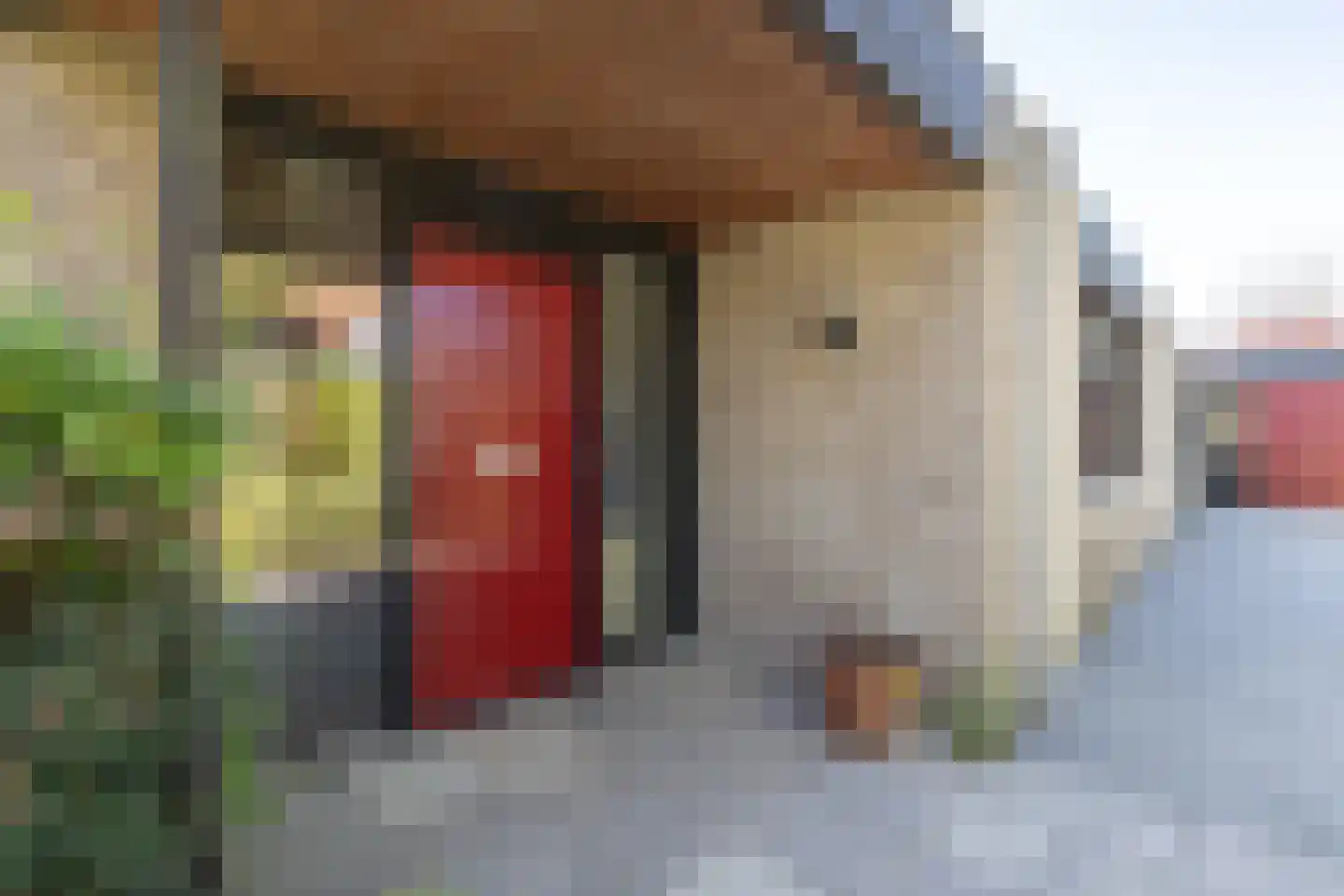 Rietschans 8 Zuidhorn thumbnail 7