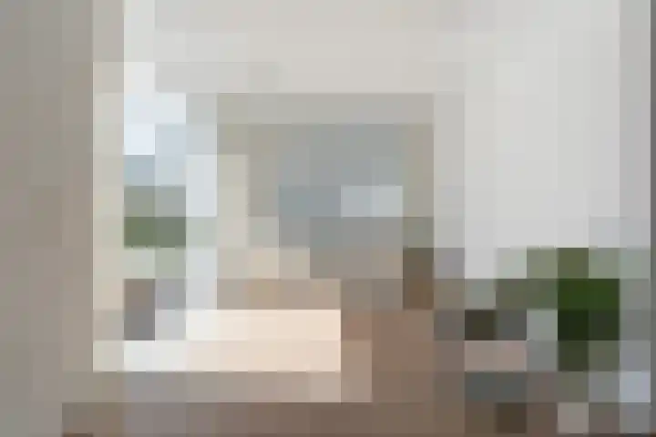 Rietschar 35 Sneek thumbnail 11