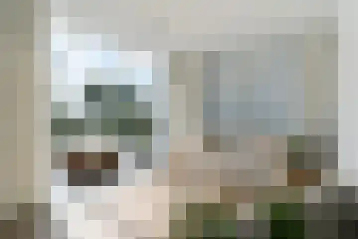 Rietschar 35 Sneek thumbnail 12