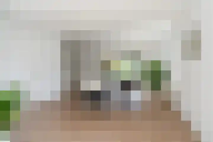 Rietschar 35 Sneek thumbnail 14
