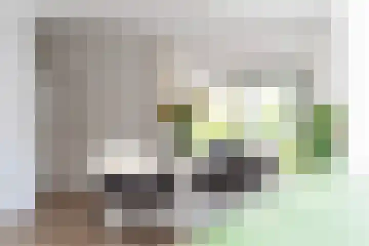 Rietschar 35 Sneek thumbnail 15