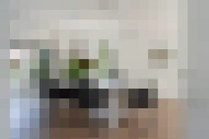 Rietschar 35 Sneek thumbnail 16