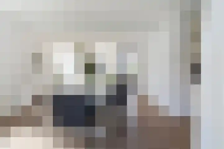 Rietschar 35 Sneek thumbnail 17