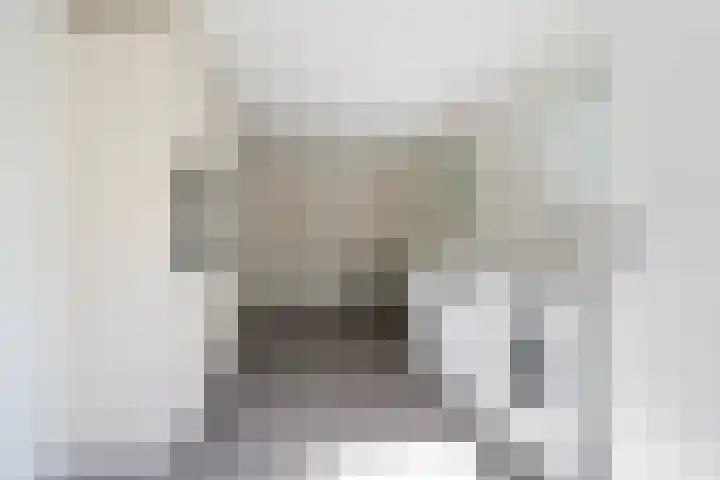Rietschar 35 Sneek thumbnail 21